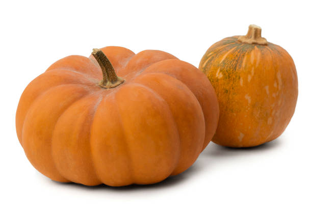 Pumpkin Varieties